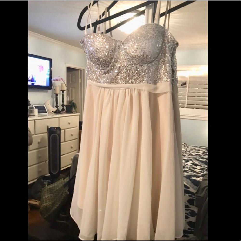 Silver sequin and cream Forever21 dress